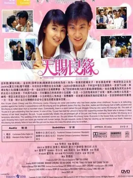 天赐良缘,介绍海报