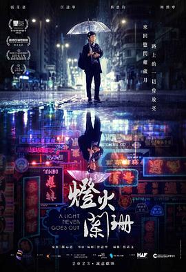         灯火阑珊,介绍海报
