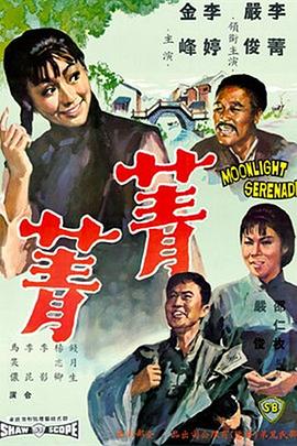        菁菁,介绍海报