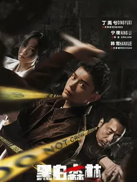 黑白森林,介绍海报