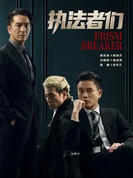 执法者们剧情介绍大结局