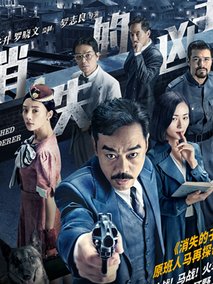 消失的凶手,介绍海报
