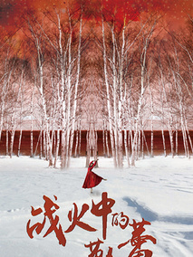 战火中的芭蕾,介绍海报