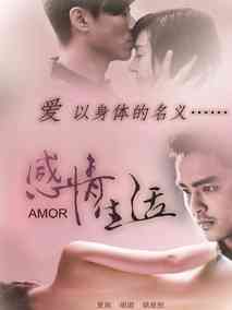 感情生活,介绍海报