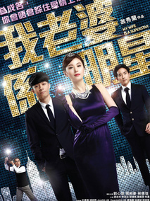 我的老婆是明星,介绍海报