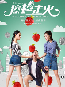 擦枪走火,介绍海报