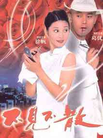 不见不散,介绍海报