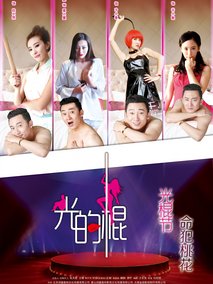 光的棍,介绍海报