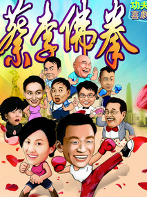 蔡李佛拳,介绍海报