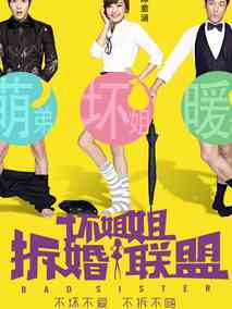 坏姐姐之拆婚联盟,介绍海报