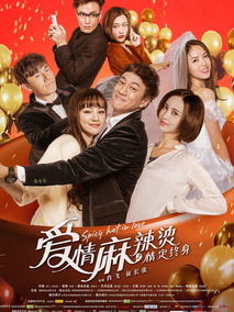 爱情麻辣烫之情定终身,介绍海报