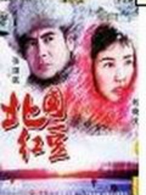 北国红豆,介绍海报