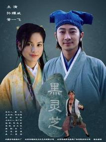 黑灵芝,介绍海报