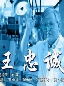王忠诚,介绍海报
