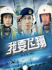 我要飞翔,介绍海报