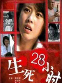 生死28小时,介绍海报