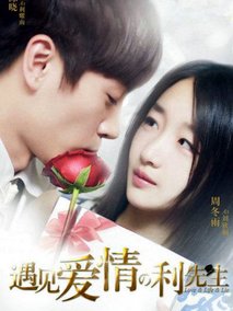 遇见爱情的利先生,介绍海报