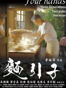 面引子,介绍海报