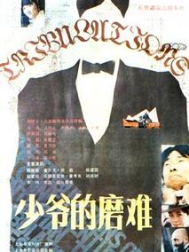 少爷的磨难,介绍海报