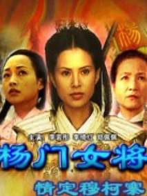 杨门女将之情定穆柯寨,介绍海报