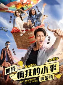 那件疯狂的小事叫爱情,介绍海报