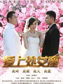 爱上处女座,介绍海报