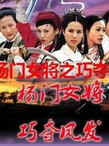 杨门女将之巧夺凤发,介绍海报