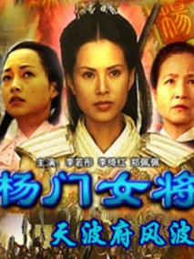 杨门女将之天波府风波,介绍海报