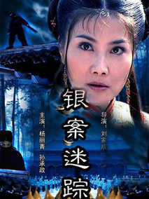银案迷踪,介绍海报