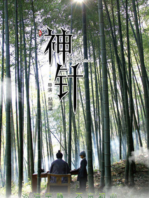 神针,介绍海报