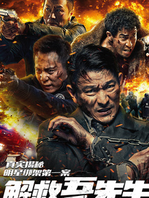 解救吾先生,介绍海报