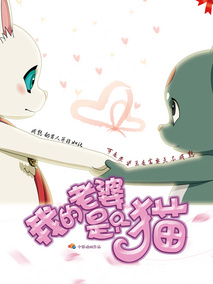 我的老婆是只猫,介绍海报