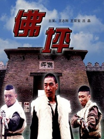 佛坪,介绍海报