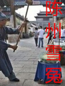 陈州雪冤,介绍海报