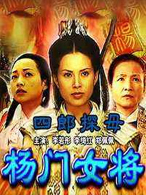 杨门女将之四郎探母,介绍海报