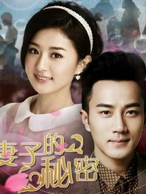 妻子的秘密,介绍海报