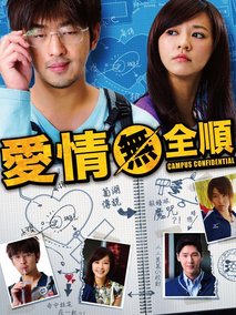 追爱大布局,介绍海报
