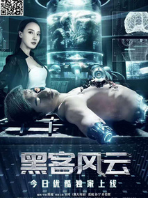 黑客风云,介绍海报