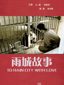 雨城故事,介绍海报