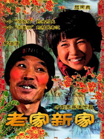 老家新家,介绍海报