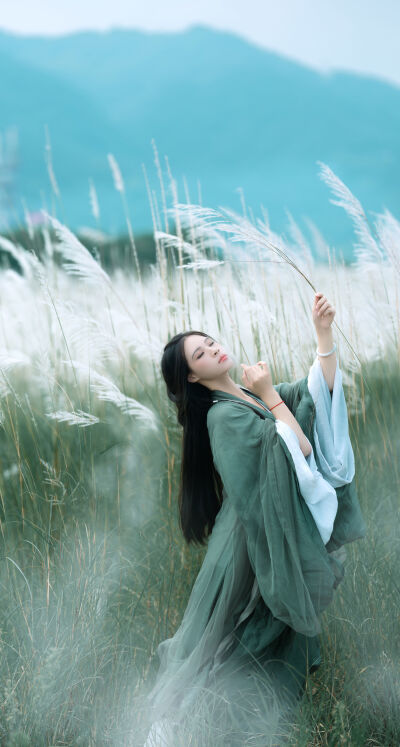 XL未增删带翻译免费观看