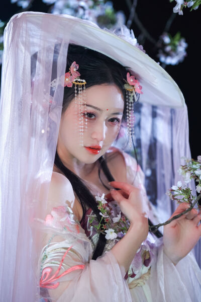 在线手机视频免费视频