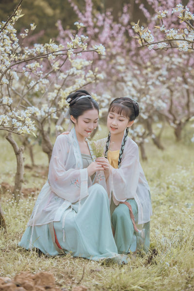 丁香花视频完整版观看