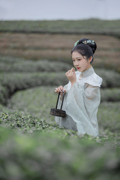 gogogo中文版在线观看免费