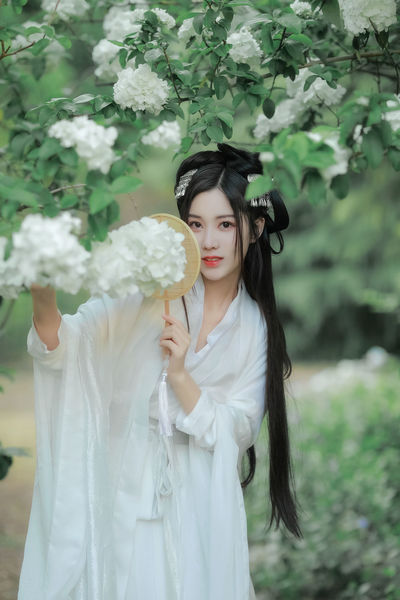青春禁区在线观看免费