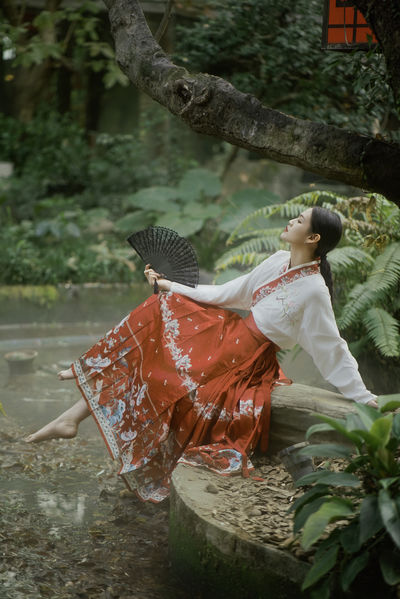 我的小乌龟想进入宝贝的扇贝视频