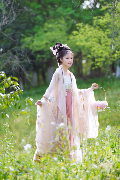 姐妹BD 在线播放