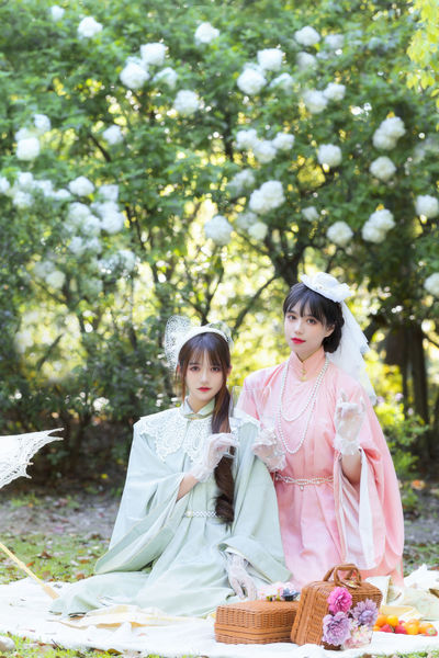 丁香花高清电视剧在线
