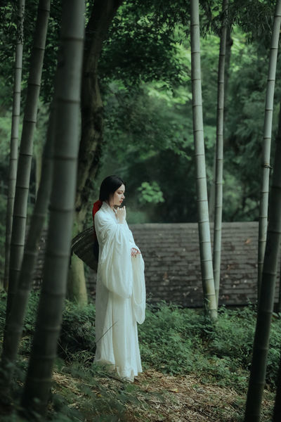 2019理论片电线