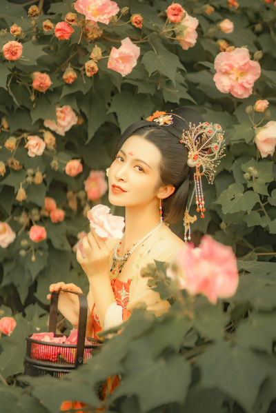善良的空姐2在线观看